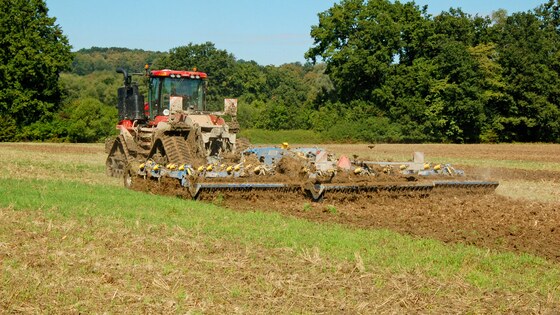 Die Fantom auch in extremen Bedingungen