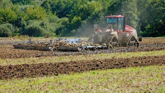 Die Fantom auch in extremen Bedingungen