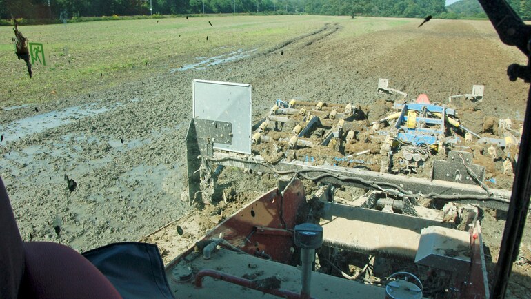 Die Fantom auch in extremen Bedingungen