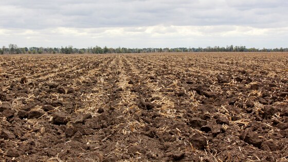 L‘ameublissement profond du sol est un excellent moyen pour accumuler et maintenir l‘humidité