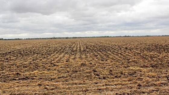 L‘ameublissement profond du sol est un excellent moyen pour accumuler et maintenir l‘humidité