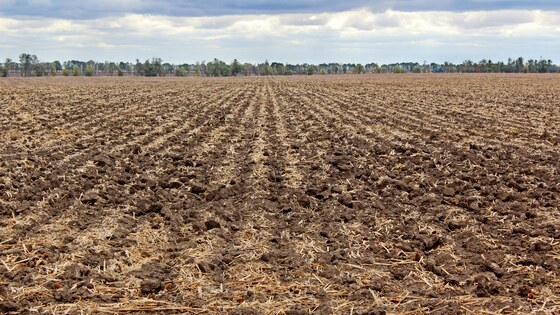 L‘ameublissement profond du sol est un excellent moyen pour accumuler et maintenir l‘humidité