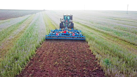 Terrix DUAL, výborné zapravení zbytků po zrnové kukuřici