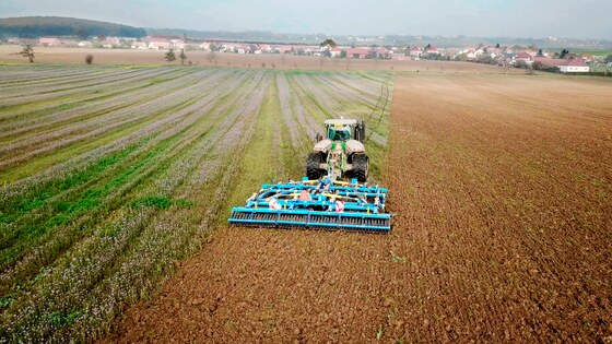 Terrix DUAL, výborné zapravení zbytků po zrnové kukuřici