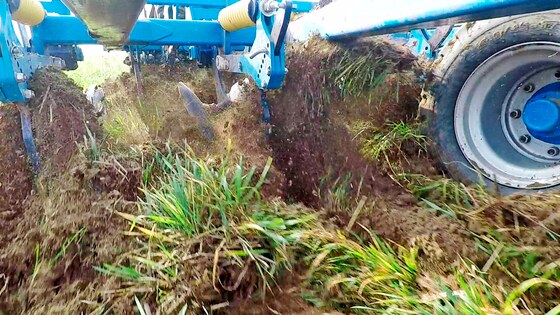 Terrix DUAL, výborné zapravení zbytků po zrnové kukuřici