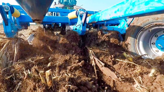 Terrix DUAL, výborné zapravení zbytků po zrnové kukuřici