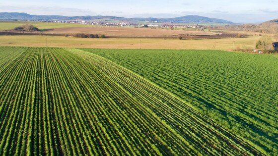 Farmet Strip-Till ist wirtschaftlich, umweltfreundlich und schützt vor Erosion