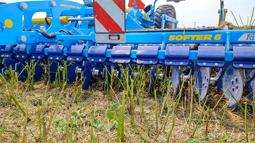 Bet on tried and tested!