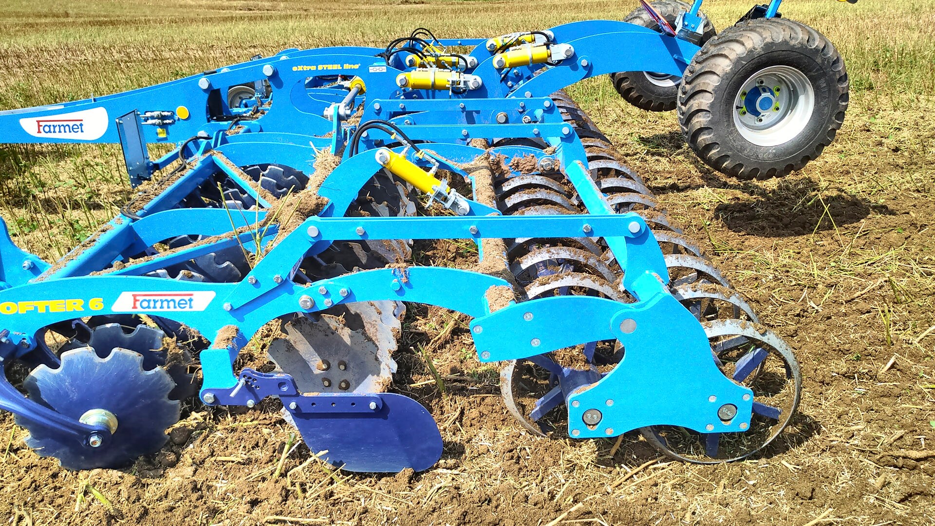 Bet on tried and tested!