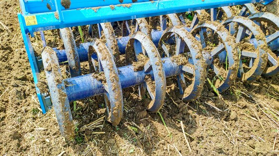 Bet on tried and tested!