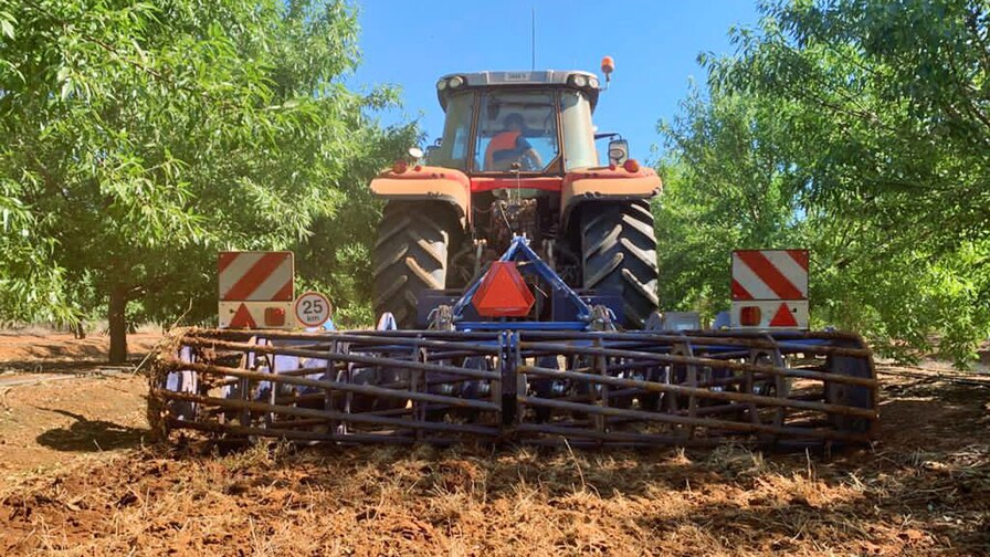 Softer Working on Almonds Farms in Australia