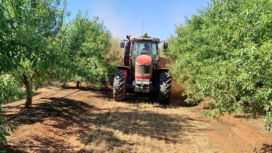 Softer Working on Almonds Farms in Australia