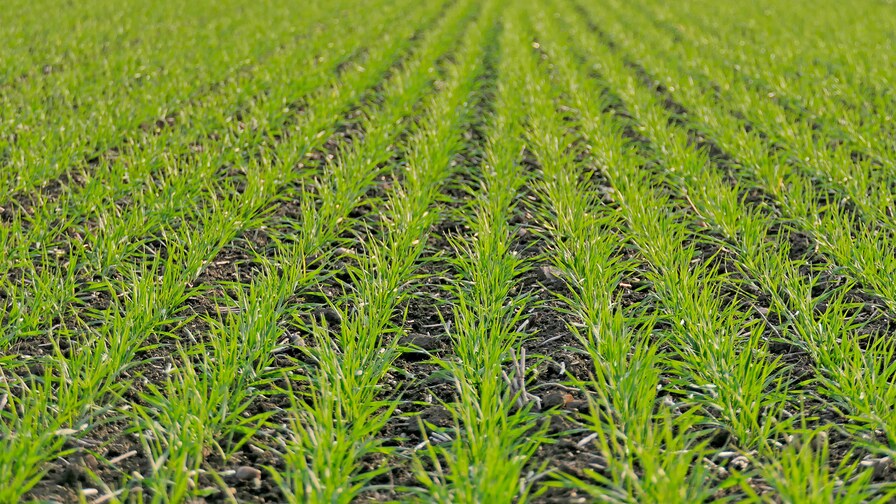 Falcon PRO – široké možnosti setí