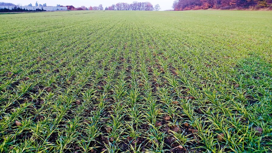 Falcon PRO – široké možnosti setí