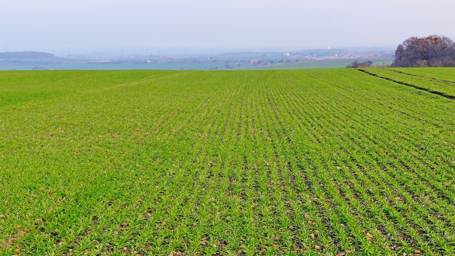 Falcon PRO – široké možnosti setí