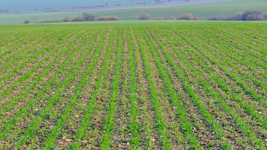 Falcon PRO – široké možnosti setí