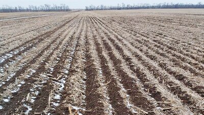 Strip-Till Farmet po roce služby v Ukrajinském podniku