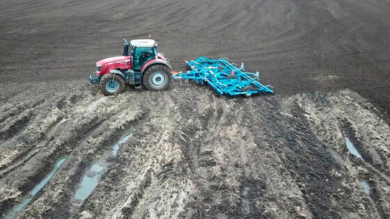 Verso je jedinečné do syrové jarní půdy