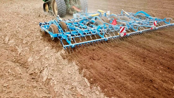 Verso je jedinečné do syrové jarní půdy