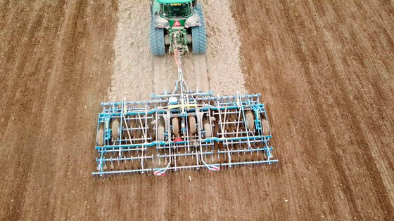 Verso je jedinečné do syrové jarní půdy