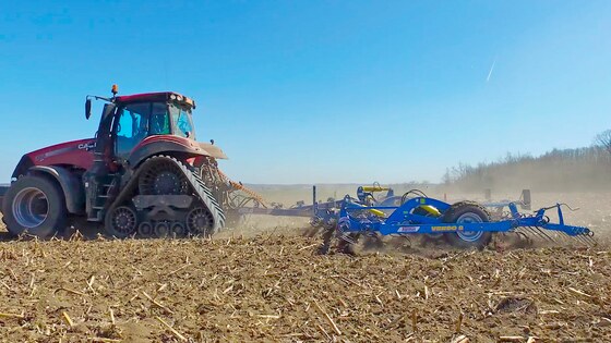 Verso je jedinečné do syrové jarní půdy