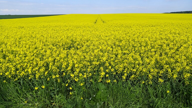 Agrosem Stěžery is already buying 14th machine of Farmet brand!