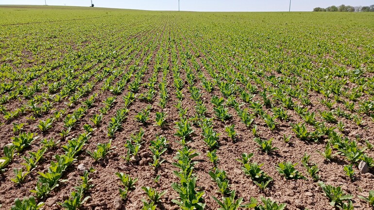 Agrosem Stěžery is already buying 14th machine of Farmet brand!